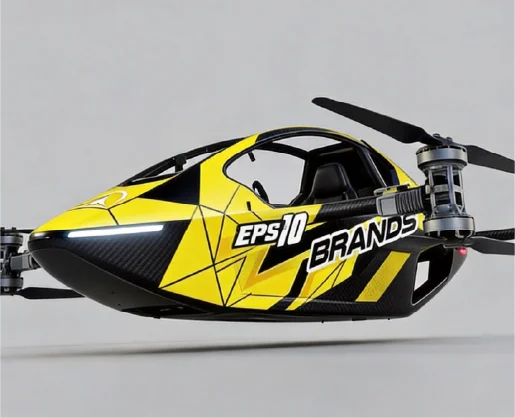 Livery Customization